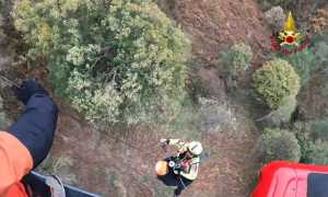  3344206448833705983 V2F 2025 10 11 22 22 19 033