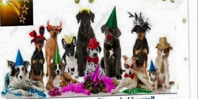 10 marzo giropizzaperAmici del cane700