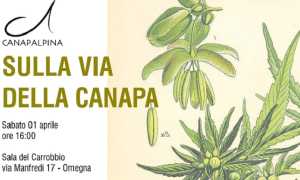1 aprile canapa