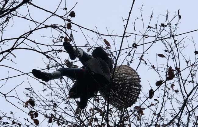 416105610 748328047321436 50845278310492766 n