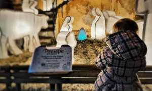 47571668 1165666236919797 5724029110108291072 n