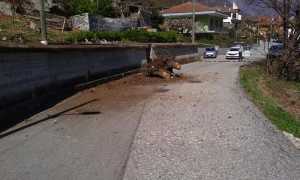 55557259 10218499076338316 5021846302749622272 n