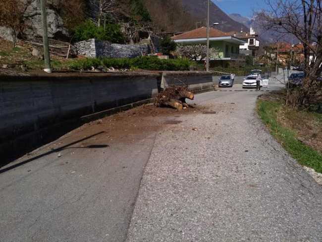 55557259 10218499076338316 5021846302749622272 n