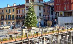 Albero natale Omegna
