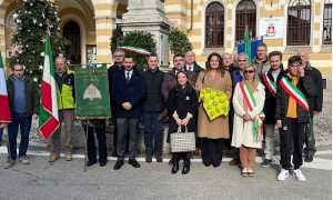 Armeno festa ringraziamento