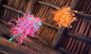 Enrica Borghi Meduse