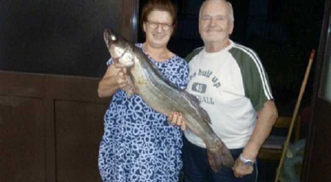 Luccio Nonio sistemato