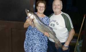 Luccio Nonio sistemato