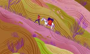 Mostra superare Alpi Sommeggiatore