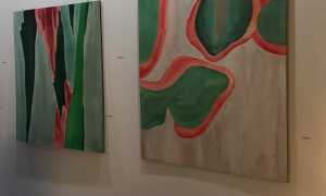 Omegna intro Cromatica