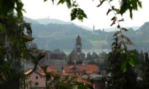 Pettenasco campanile fronde