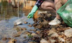 Plastica bottiglia ecologia