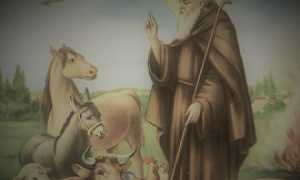 Sant Antonio Abate 270