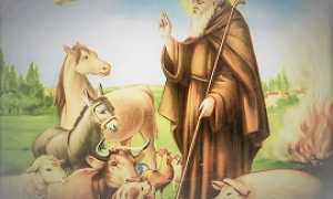 Sant Antonio Abate Gozzano270