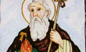 Sant Antonio Abate270