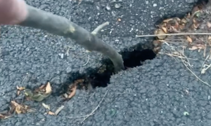 Schermata 2024 06 14 alle 17.20.02