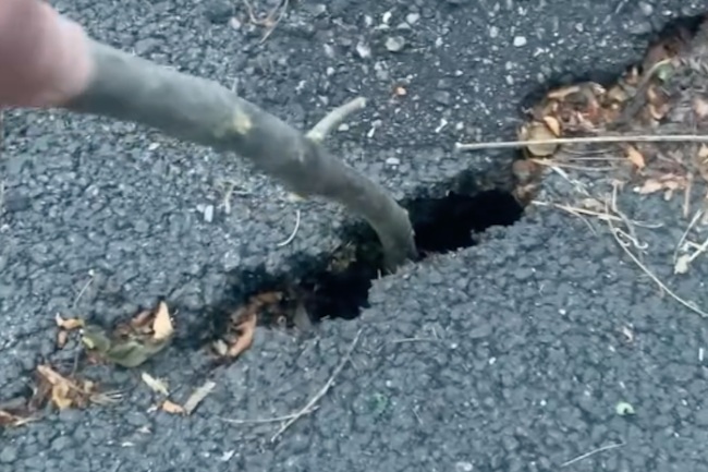 Schermata 2024 06 14 alle 17.20.02