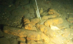 Schermata 2024 11 11 alle 12.22.42