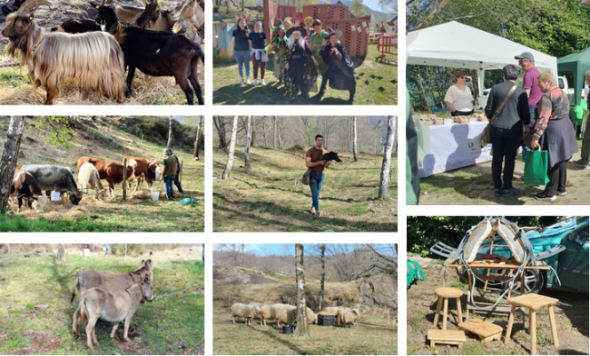 Schermata 2025 04 07 alle 10.46.30