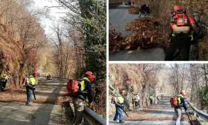 WhatsApp Image 2020 01 25 at 15.15.20