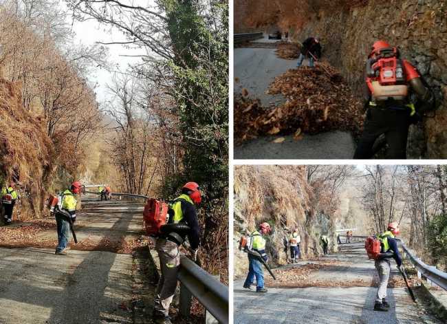 WhatsApp Image 2020 01 25 at 15.15.20