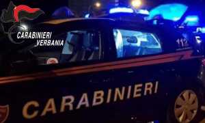 WhatsApp Image 2023 03 17 at 16.09.07