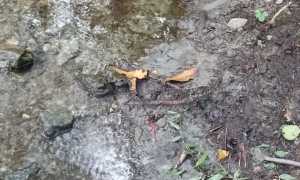 WhatsApp Image 2023 10 12 at 09.55.29