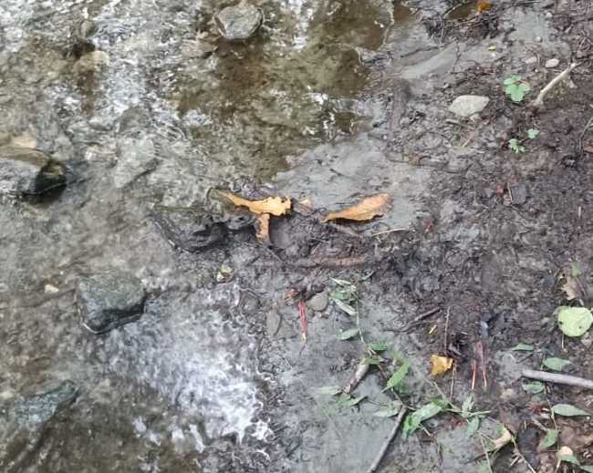 WhatsApp Image 2023 10 12 at 09.55.29