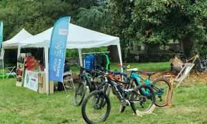 WhatsApp Image 2025 05 13 at 11.25.111