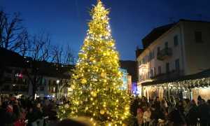 WhatsApp Image 2025 12 07 at 10.34.41