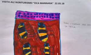 agriturismo asilo pettenasco