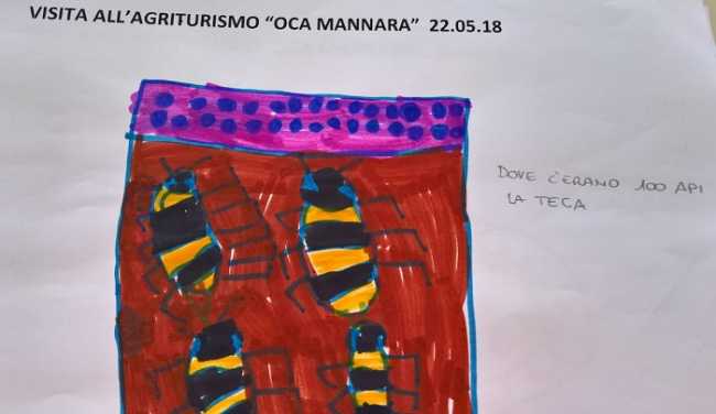 agriturismo asilo pettenasco