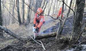 aib pettenasco migiandone