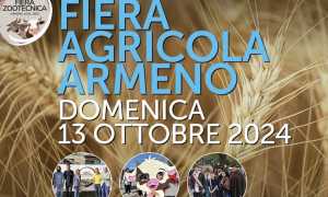 armeno fiera agricola 24 locandina