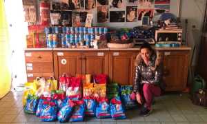 armeno raccolta canile gattile