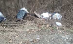 armeno rifiuti abbandonati 2