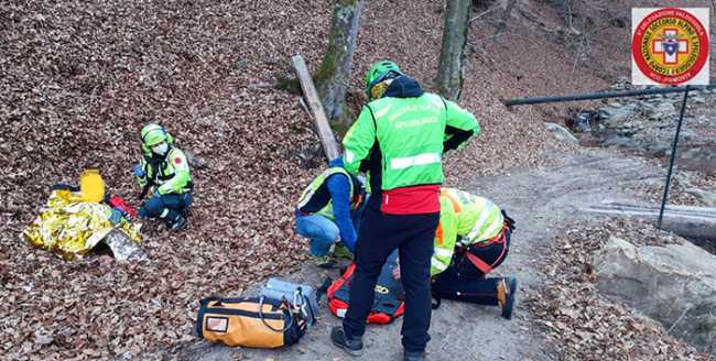 barella bosco autunno