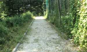 boschina pulita omegna