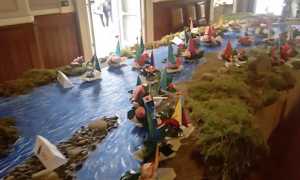 camelia gozzano 24 1