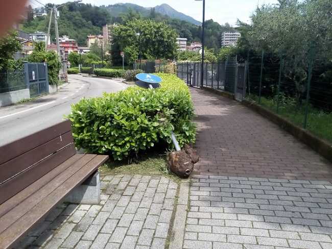 cartello bagnella divelto