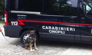 controlli droga scuole