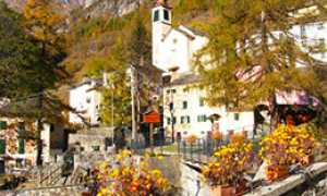 corta campello autunno 2008 01