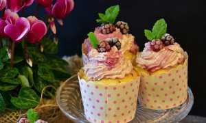 cupcake 2749204 960 720