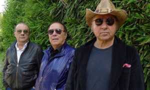 dikdik presentazione