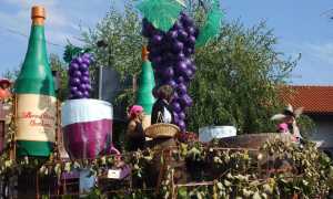 festa uva borgo
