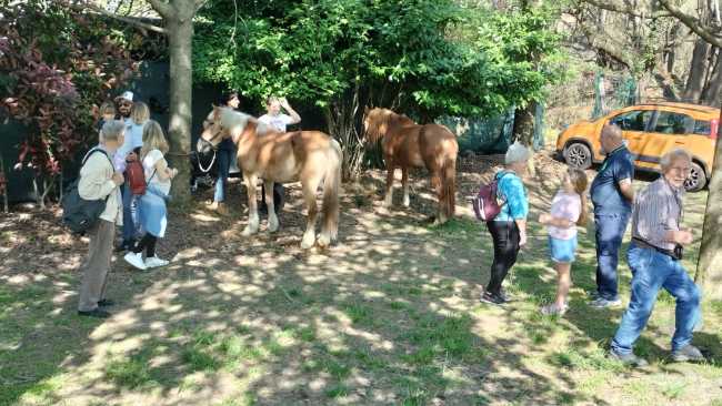 fiera agricola cireggio00014