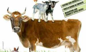 fieraAgricola Cireggio bis 2