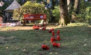 gozzano panch rossa viol 23