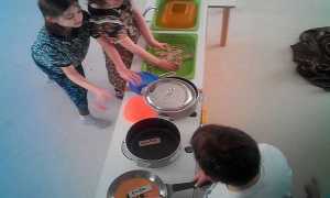 luoteoca e miniludo700