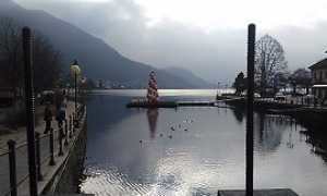 movimento5stelleOmegna270